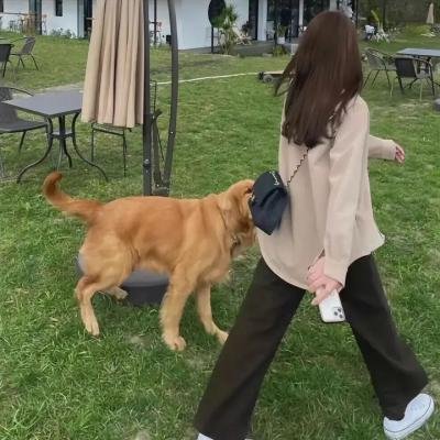 约会专家